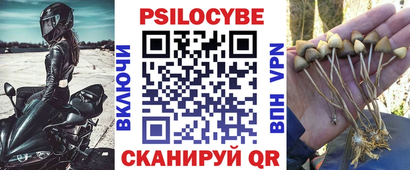 Псилоцибиновые грибы ЛСД Тулун