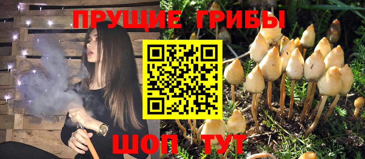 Тулун  Галлюциногенные грибы ЛСД  Вход с VPN 